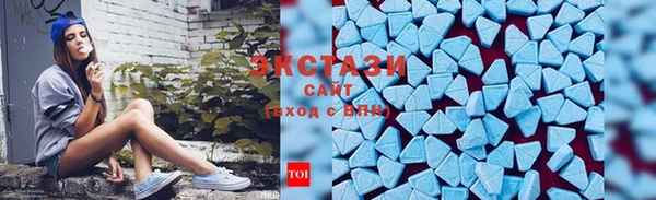 дурь Инта