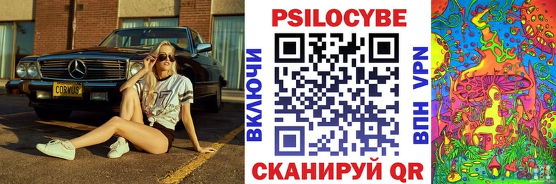 Псилоцибиновые грибы Cubensis  Благовещенск 