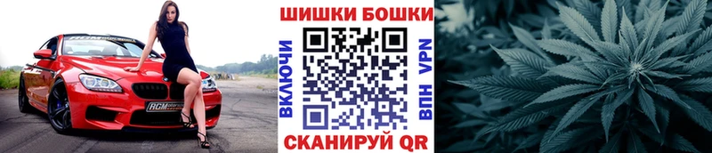 купить  цена  Благовещенск  Каннабис семена 